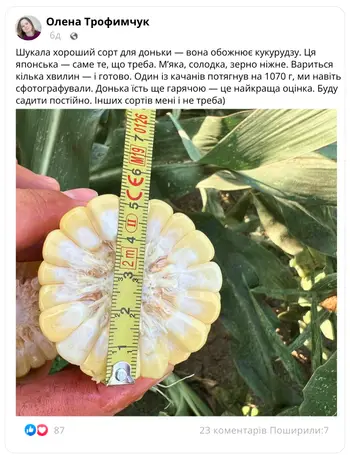 Відгук покупця 2